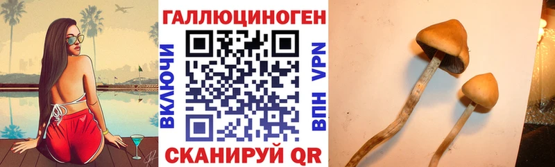 купить закладку  Жуковка  Галлюциногенные грибы Psilocybe 